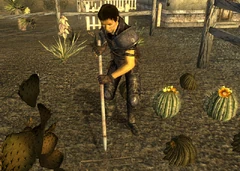 Goodsprings settler