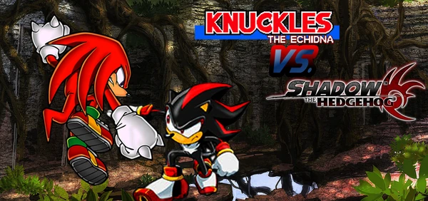 Knuckles-v-Shadow