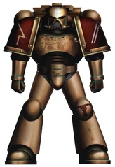 Mark VII Sternguard Veteran