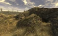 Cazador nest.jpg