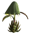 Spore plant.png