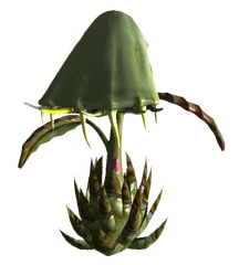 Spore plant