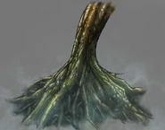 Spire beta