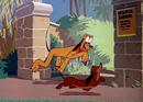 Pluto and dinah