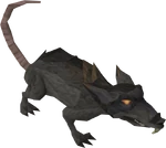 Giantrat