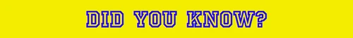 Didyouknowbanner.png