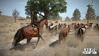 Rdr women cattle08