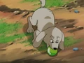 BuuCatchGreenBall