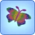 Rainbow Butterfly