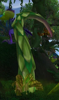 Image of Strangle Vine