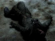 Ghost's body