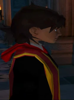Unidentified Gryffindor Prefect 1