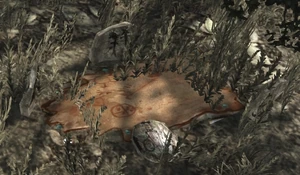 Rdr mystery site01.jpg