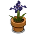 Iris-icon.png