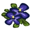 Pansies Quest-icon.png