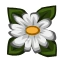 Daisies Quest-icon.png