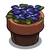 Pansies-icon.png