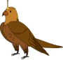 Morrow