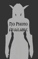 NightElffemale nopic.jpg