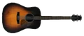 Acoustic Guitar