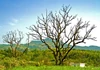 LANDSCAPE) XIII.jpg