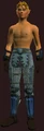 Chain Armor of the Venerated(Worn).jpg
