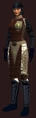 Chain Armor of Insight(Worn).jpg