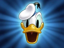 Donald corto