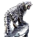Spotted Leopard
