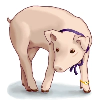 Piggy default.PNG