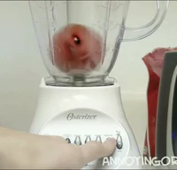 Blender