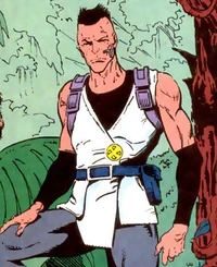Metamorpheus