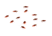 The Sims Roaches