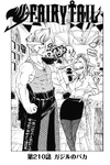 Chapter 210