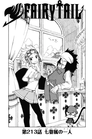 Cover 213