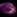 IconSmall Sea Cucumber