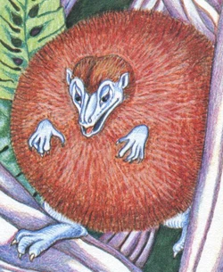 Lumpystrauma.jpg