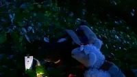 Emzfolge11-7