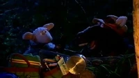 Emzfolge11-10