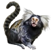 Item sagui 01