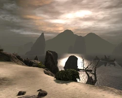 Wounded coast