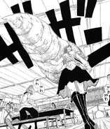 Erza is introduced.