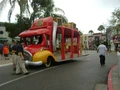 DSC02880.jpg