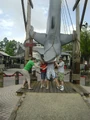 DSC02884.jpg