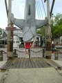 DSC02886.jpg