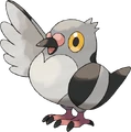 Pidove.png