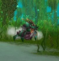Image of Clacksnap Pincer