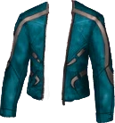 Motorcycle Jacket