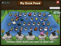DuckPondFullyExpandedFilled