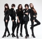 430px-Kara20100308001828 0